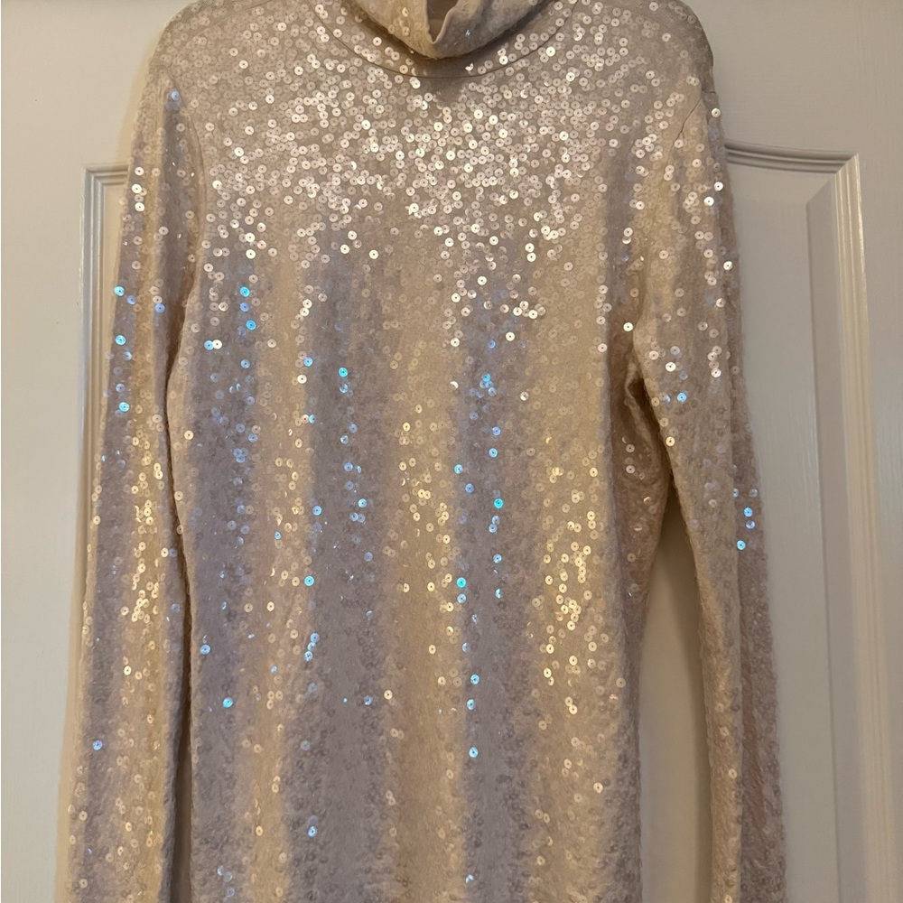 Express Sequin Long Sleeve Turtleneck